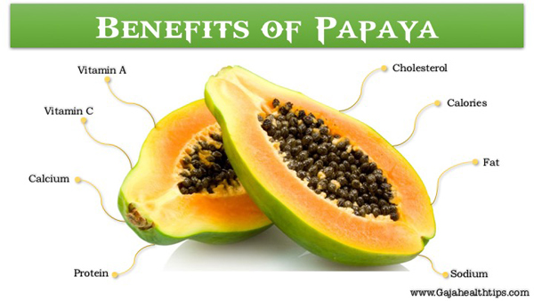 Top 12 Amazing Health Benefits Of Eating Papaya Fruit