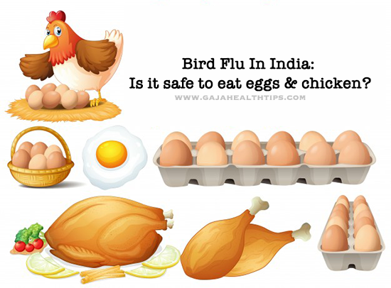 Bird Flu In India: Is It Safe To Eat Eggs And Chicken?